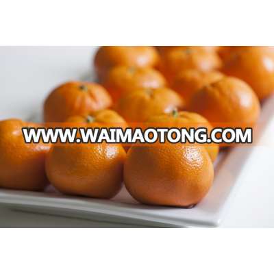 Fresh Mandarin Orange Citrus Fruits